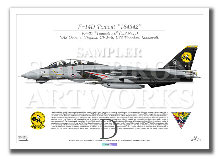 F-14D Tomcat VF-31 Tomcatters “Last Tomcat Cruise 2006” 164342