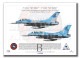 F-16A/BNaval Strike and Air Warfare Center2ver 947 458 A3 Prints)