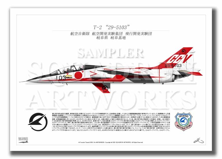 T-2 CCV 飛行開発実験団 