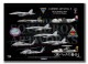 CVW-5, MCAS Iwakuni, USS Ronald Reagan 20249ver3 Print)