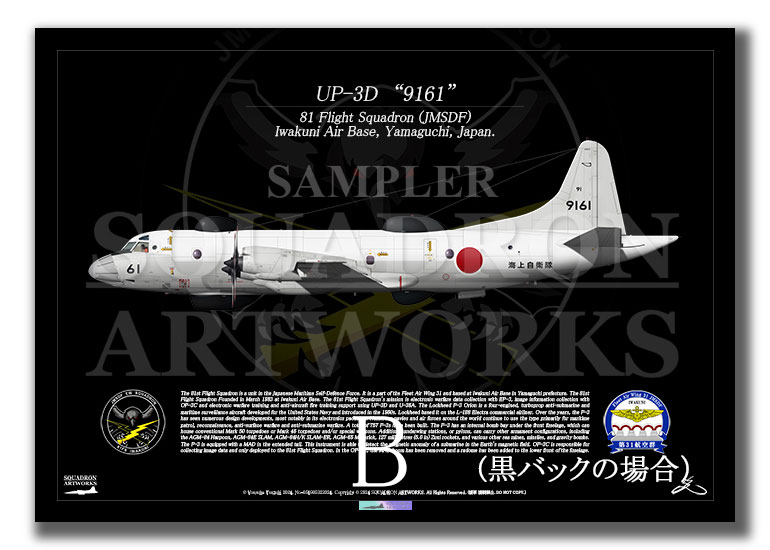 UP-3D 海上自衛隊 第31航空群 第81航空隊 