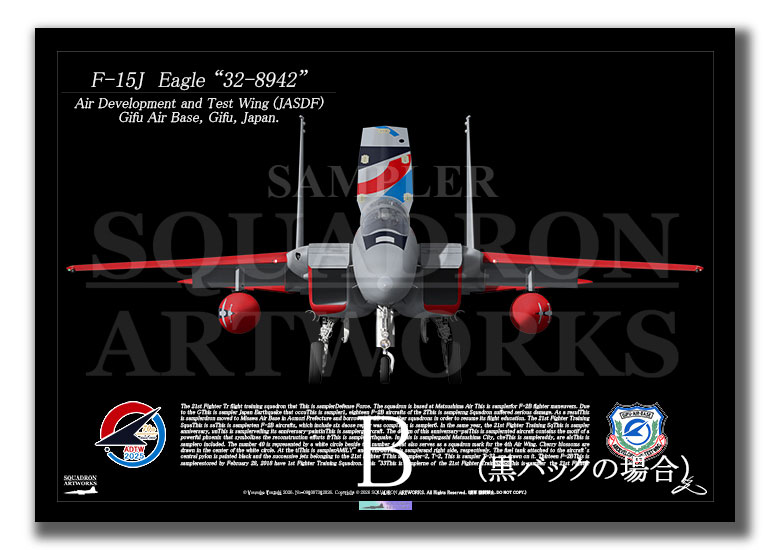 F-15J　イーグル　飛行開発実験団　創設70周年記念　2025　Front View　 (A3 Size Print)