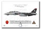 F-14D Tomcat  VF-101 Grim Reapers 163  2004  A3 Prints)