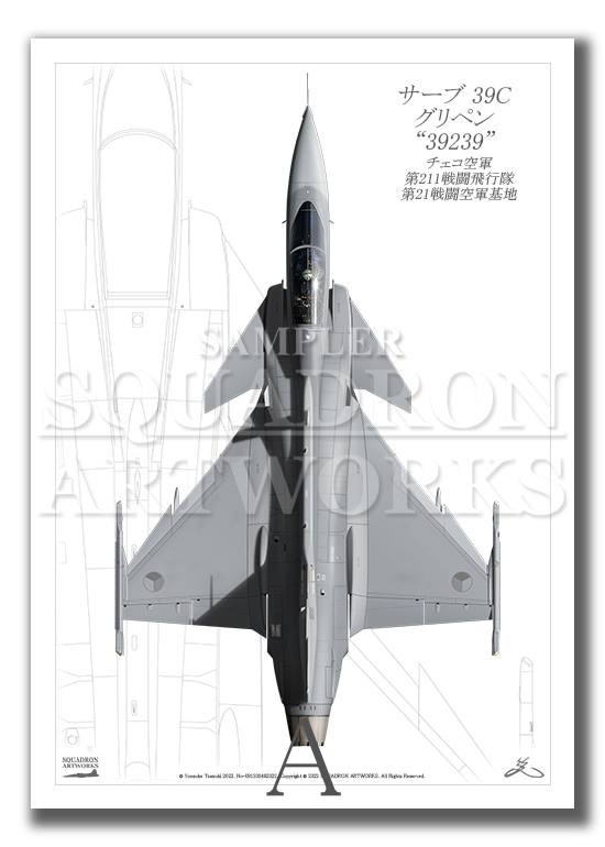 空の旅人 世界の空を飛んでわかった 人生に効く旅学 | Ryucrew |本 | 通販 | Amazon