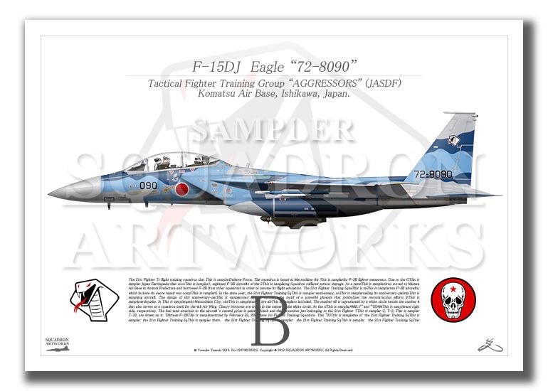 F-15DJ イーグル 飛行教導群 