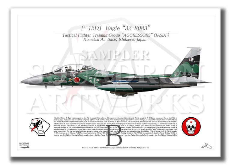 F-15DJ イーグル 飛行教導群 