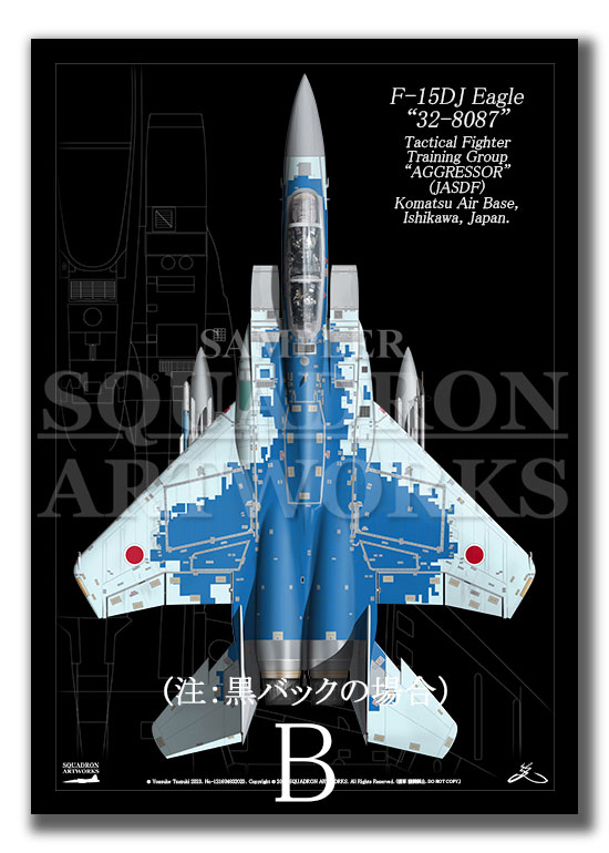 Top view 縦向き” F-15DJ イーグル 飛行教導群 “32-8087” （A2サイズ