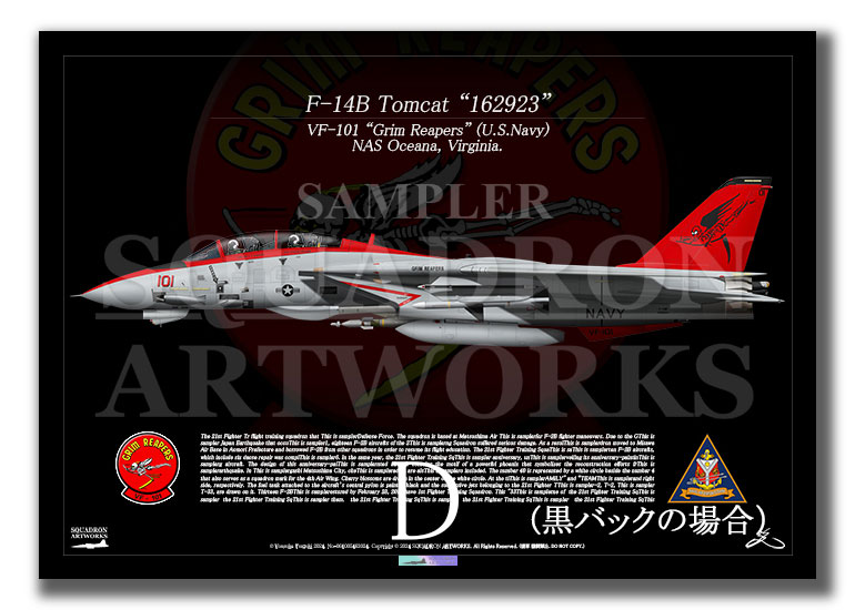 F-14B Tomcat  VF-101 Grim Reapers 101  1995  A3 Prints)