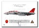 F-14B Tomcat  VF-101 Grim Reapers 101  1995  A3 Prints)