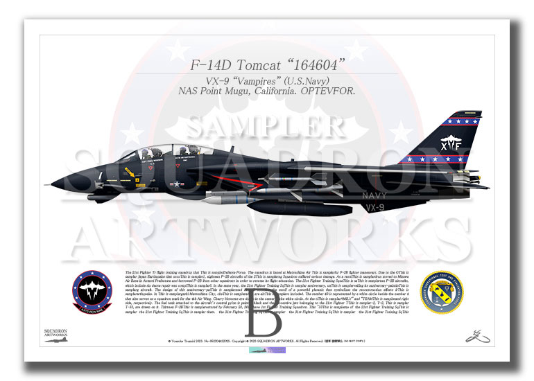 F-14D トムキャット VX-9 Vampires “Vandy 1” 164604 （A3サイズ