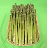 �ڣ����������ȯ�����ϡ��ۤ褦�Ƥ������꡼�󥢥��ѥ�̣ͺ�800��