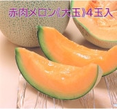 褦Ƥ̡գ