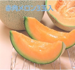 �褦�Ƥ��������������  ������