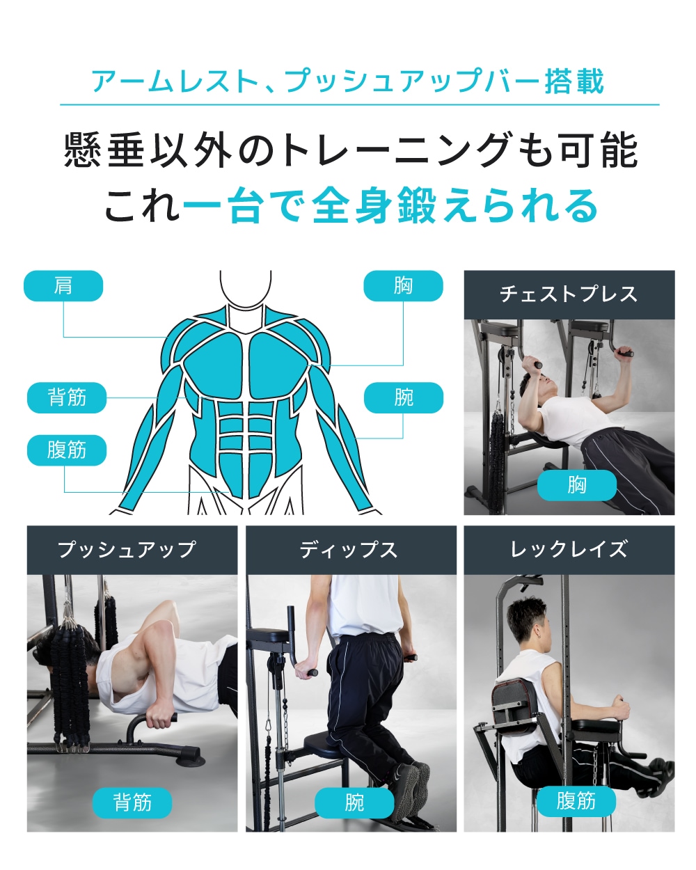 ぶら下がり健康器 アシストモデル ブラック ぶら下がり健康器 高さ調整