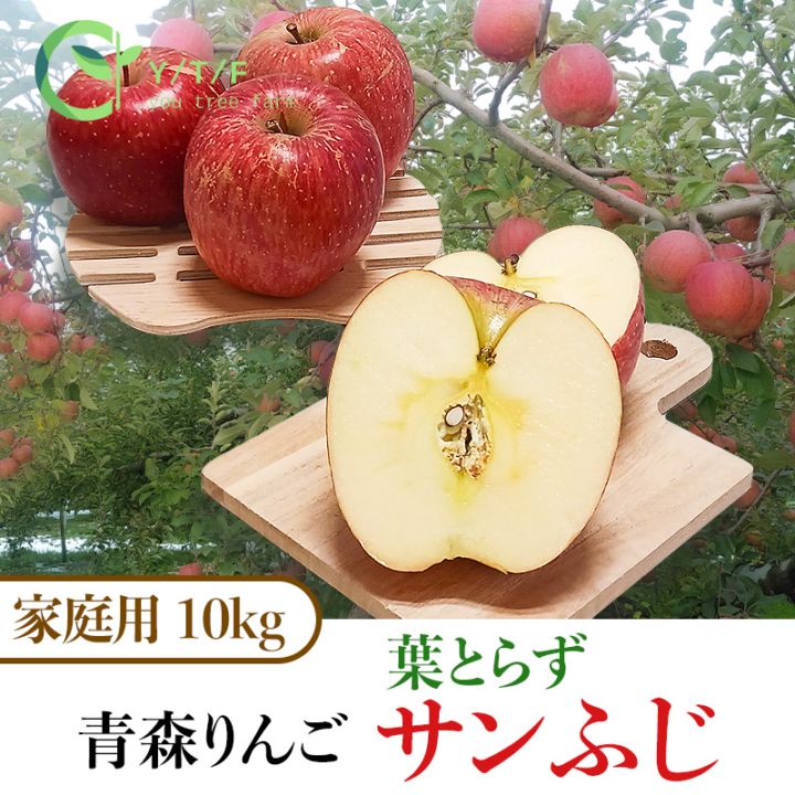 2025年完売御礼】 【調理・加工用】紅の夢10kg | すべての商品