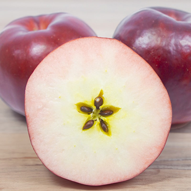 2025年完売御礼】 【調理・加工用】紅の夢10kg | すべての商品