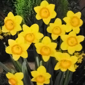 庬å׺顡ǥ󥸥㥤ȡ2/ޡ