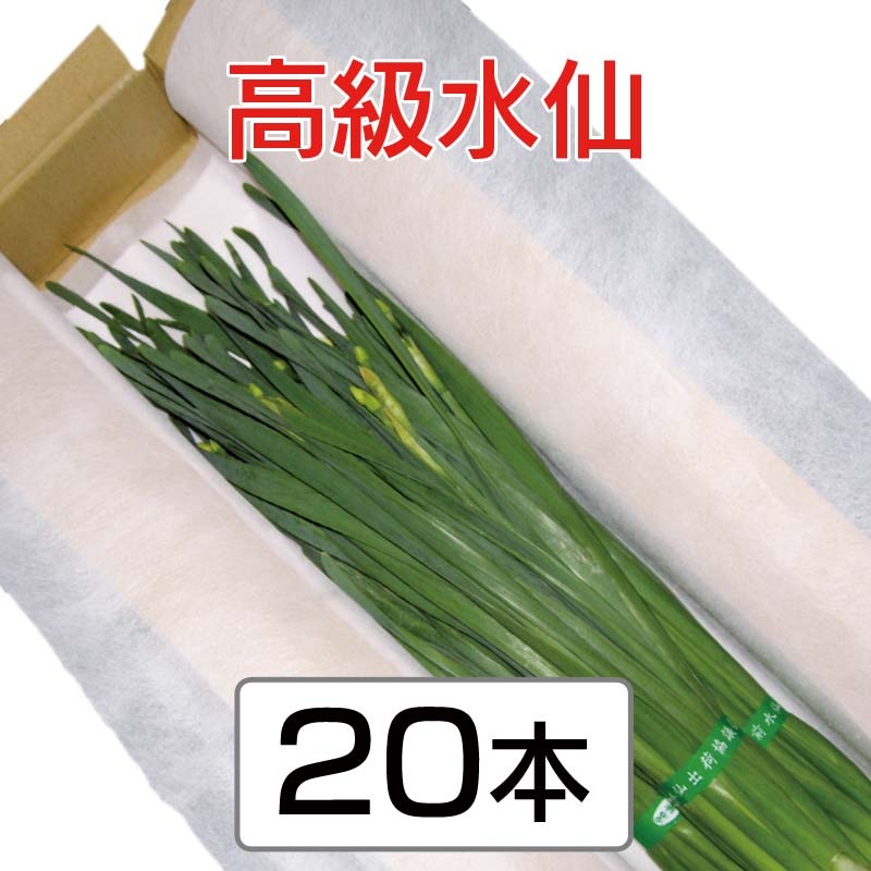 �����硡��45����ʾ塡4���ջ���ˡ�20��