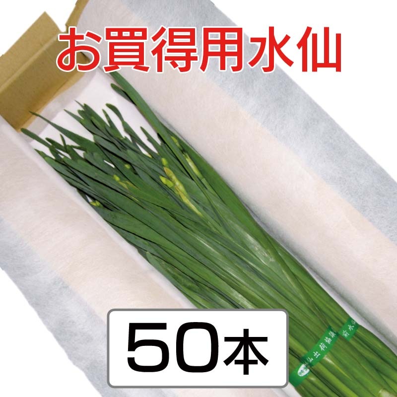 �������ѿ��硡��35cm�ʾ塡3��4���ջ���ʤ��ˡ�50��