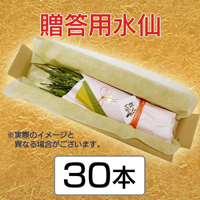 £���ѿ��硡��45cm�ʾ塡3��4���ջ���ʤ��ˡ�30��