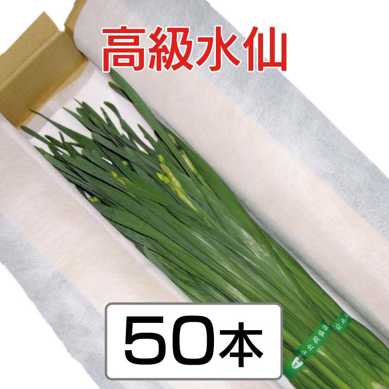 �����硡��45����ʾ塡4���ջ���ˡ�50��