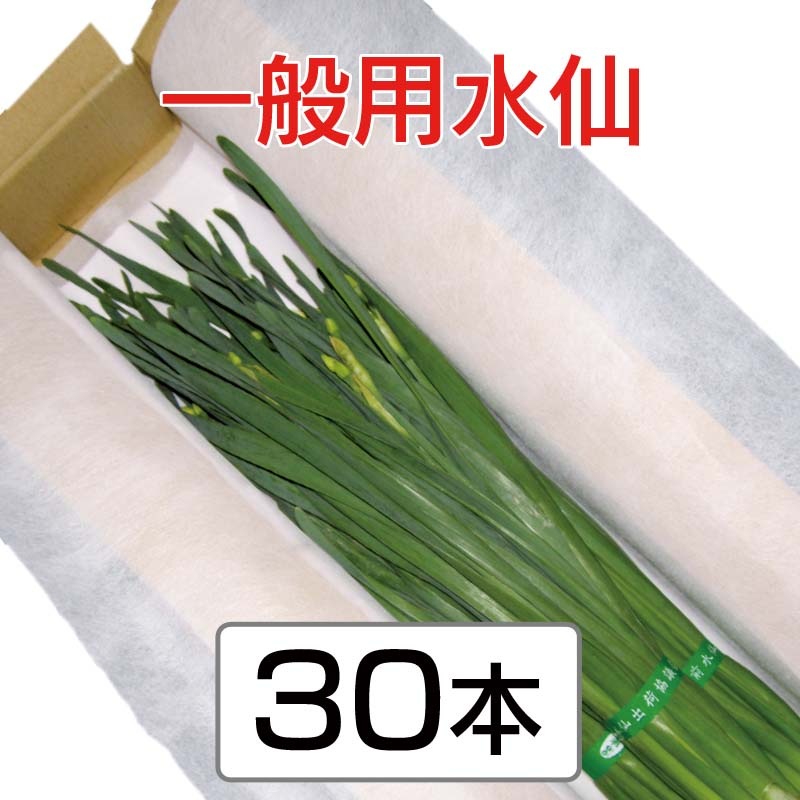 �����ѿ��硡��45cm�ʾ塡3��4���ջ���ʤ��ˡ�30��