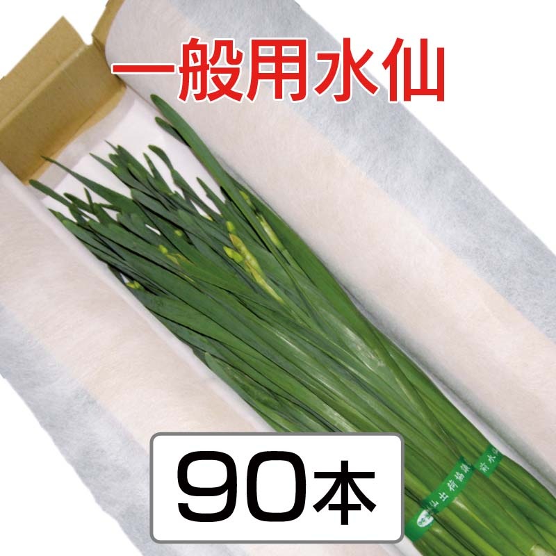 �����ѿ��硡��45cm�ʾ塡3��4���ջ���ʤ��ˡ�90��