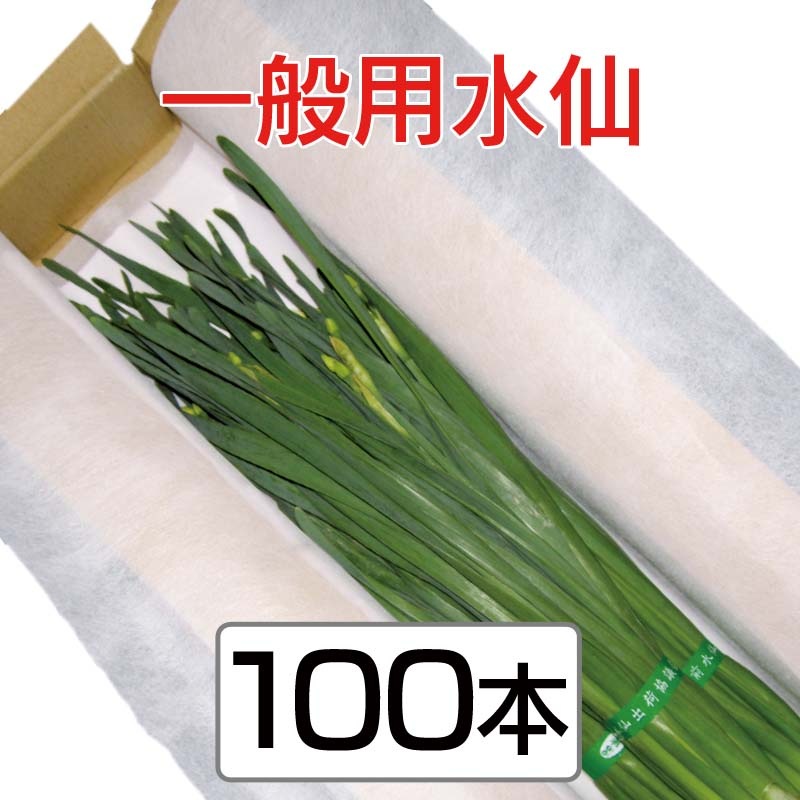 ѿ硡45cmʾ塡34ջʤˡ100