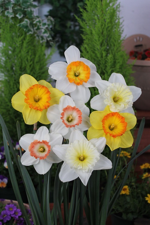 ���硡�Ƽﺮ��ʣ�������أ����ޡˣ����������ꡡ