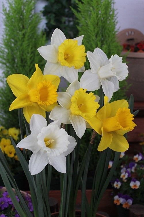 ���硡�Ƽﺮ��ʣ�������أ����ޡˣ����������ꡡ