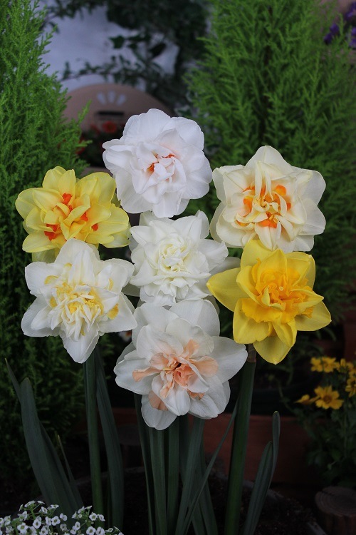 ���硡�Ƽﺮ��ʣ�������أ����ޡˣ����������ꡡ