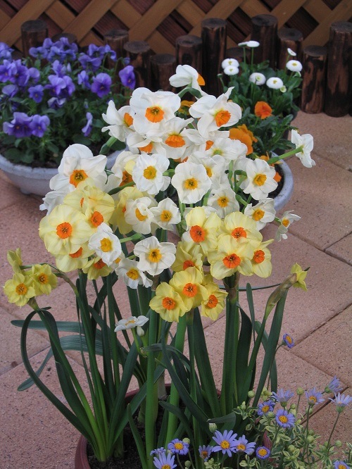 ���硡�Ƽﺮ��ʣ�������أ����ޡˣ����������ꡡ