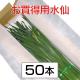 �������ѿ��硡��35cm�ʾ塡3��4���ջ���ʤ��ˡ�50��