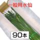 �����ѿ��硡��45cm�ʾ塡3��4���ջ���ʤ��ˡ�90��