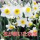 �����硡��45����ʾ塡4���ջ���ˡ�20��