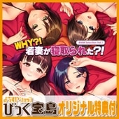 PCեȡ ANIM Selection Vol.1 ףȣ١ ʤ줿A4饹ȥ