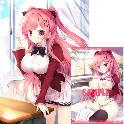 【PCソフト】 【早期予約特典付き】花鐘カナデ*グラム Chapter:3 星泉コトナ 豪華限定版+ 有償特典B2Wスエードタペストリー