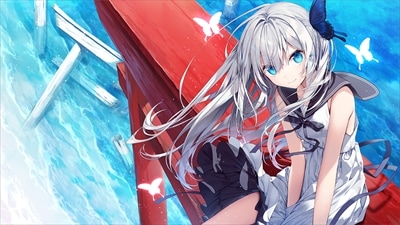 PCソフト】 GINKA 抱き枕カバー付き特装版 | 年齢制限なし商品一覧,PC 