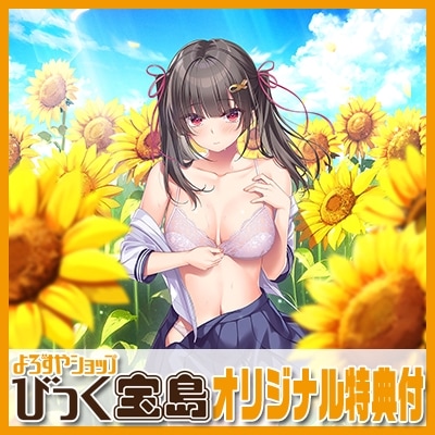 PCեȡ Ƥؤ3ꥸʥץ饹åաåȥåפˤĤ߸˸¤