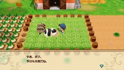 ��PS4�� �Ҿ�ʪ�� �Ʋ�Υߥͥ�륿���󡡤Ӥä�������ŵ��