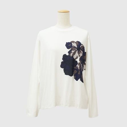 RCSŷ���ե��ץ��ȡ������