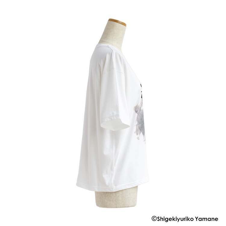 ���ե�ŷ������ƥꥢ�ץ��ȡ��������ץ���Ⱦµ�磻�ɥ����