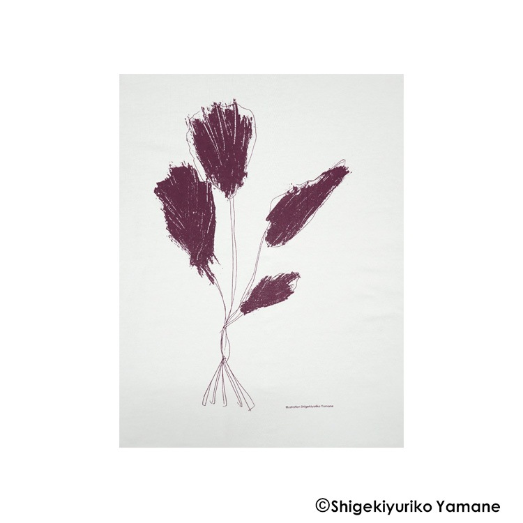 20/1ŷ����"�֡���"�ץ��ȼ�ʬµ�����