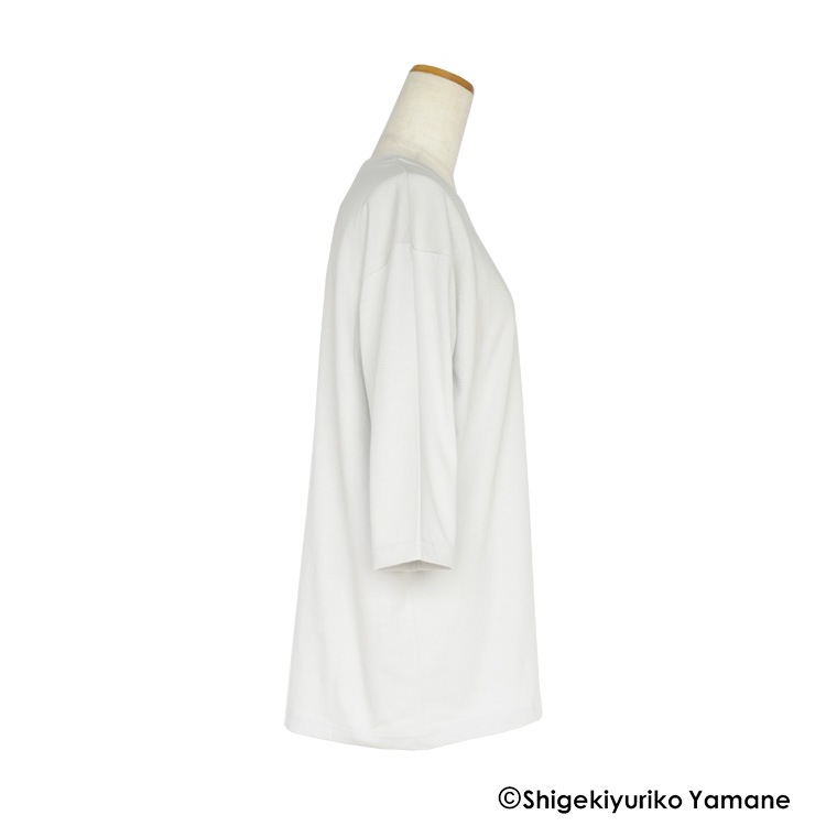 20/1������ŷ������LAMP��TABLE�ץץ��ȼ�ʬµ�����