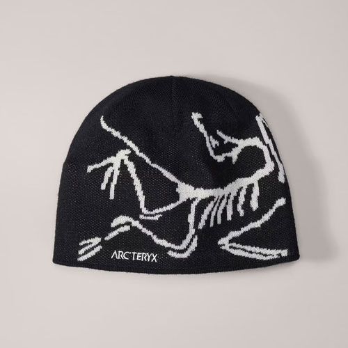 新品未使用　最安値　palace × Arc’teryx コラボ ビーニー 楽天市場】アークテリクス ニット帽の通販