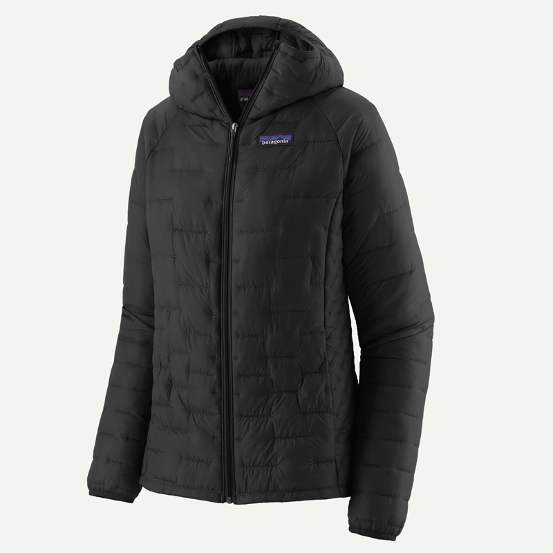 パタゴニア Patagonia ウィメンズ・ダウン・セーター・フーディ