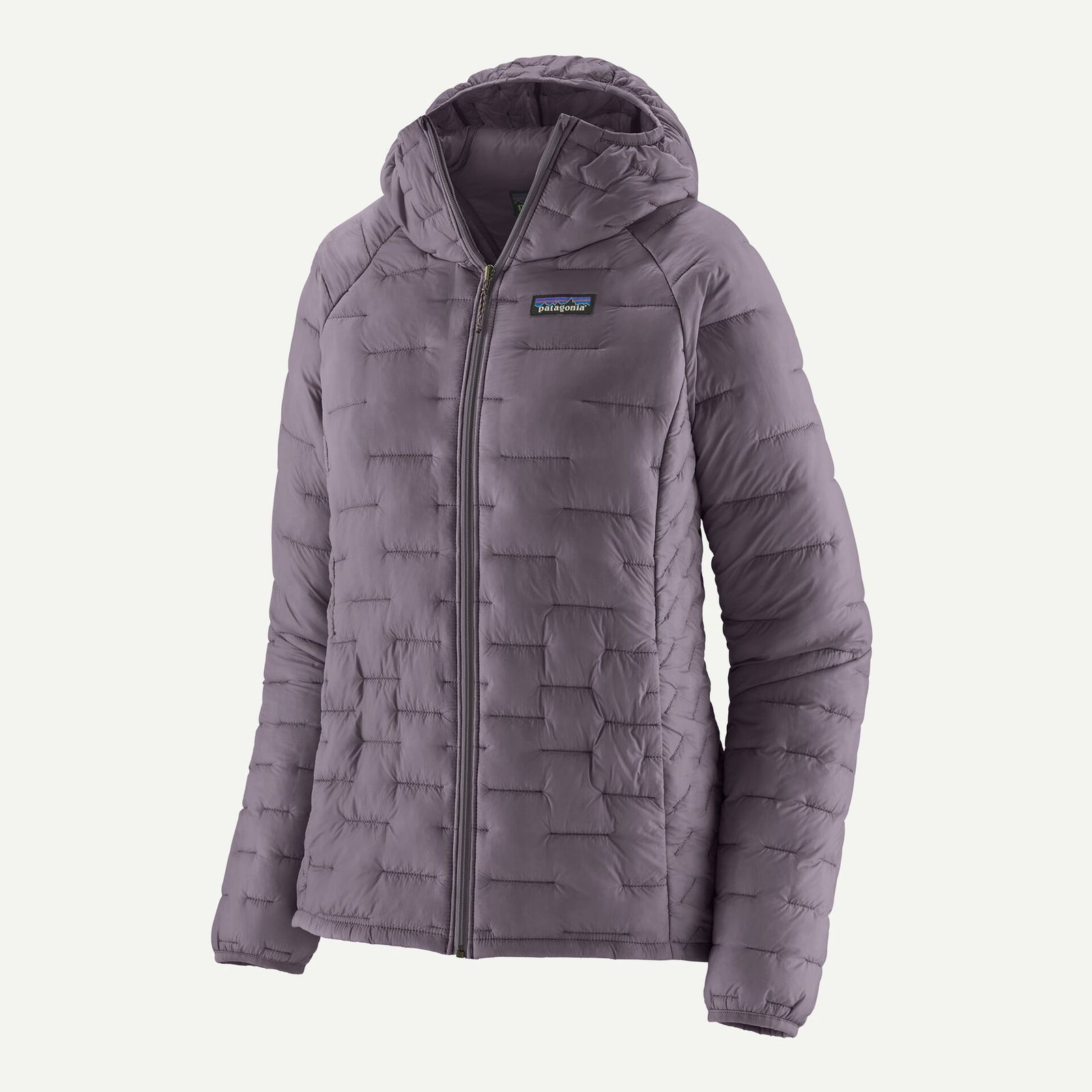 パタゴニア Patagonia ウィメンズ・マイクロ・パフ・フーディ　84041