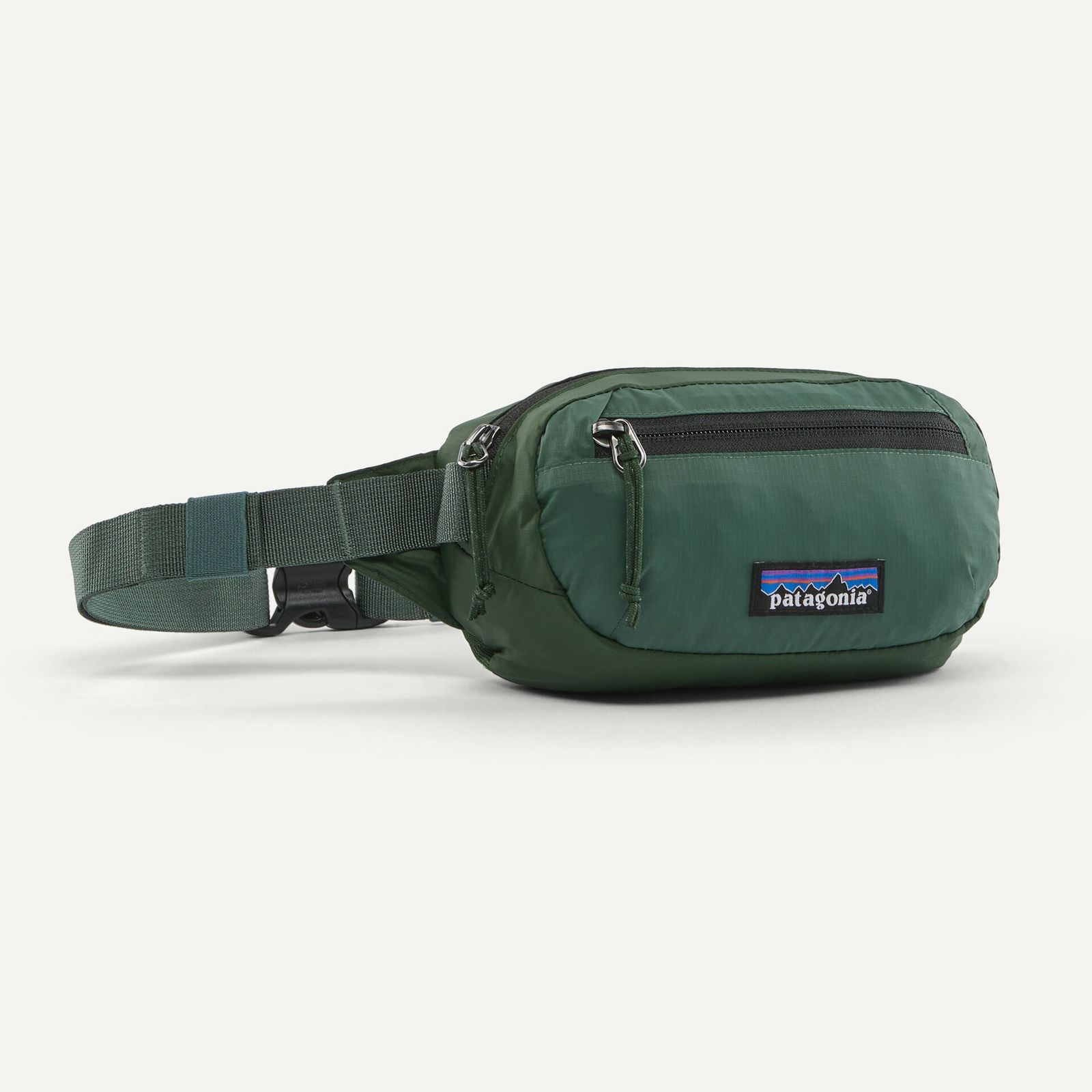 パタゴニア Patagonia テラヴィア・ミニ・ヒップ・パック 1L 49448
