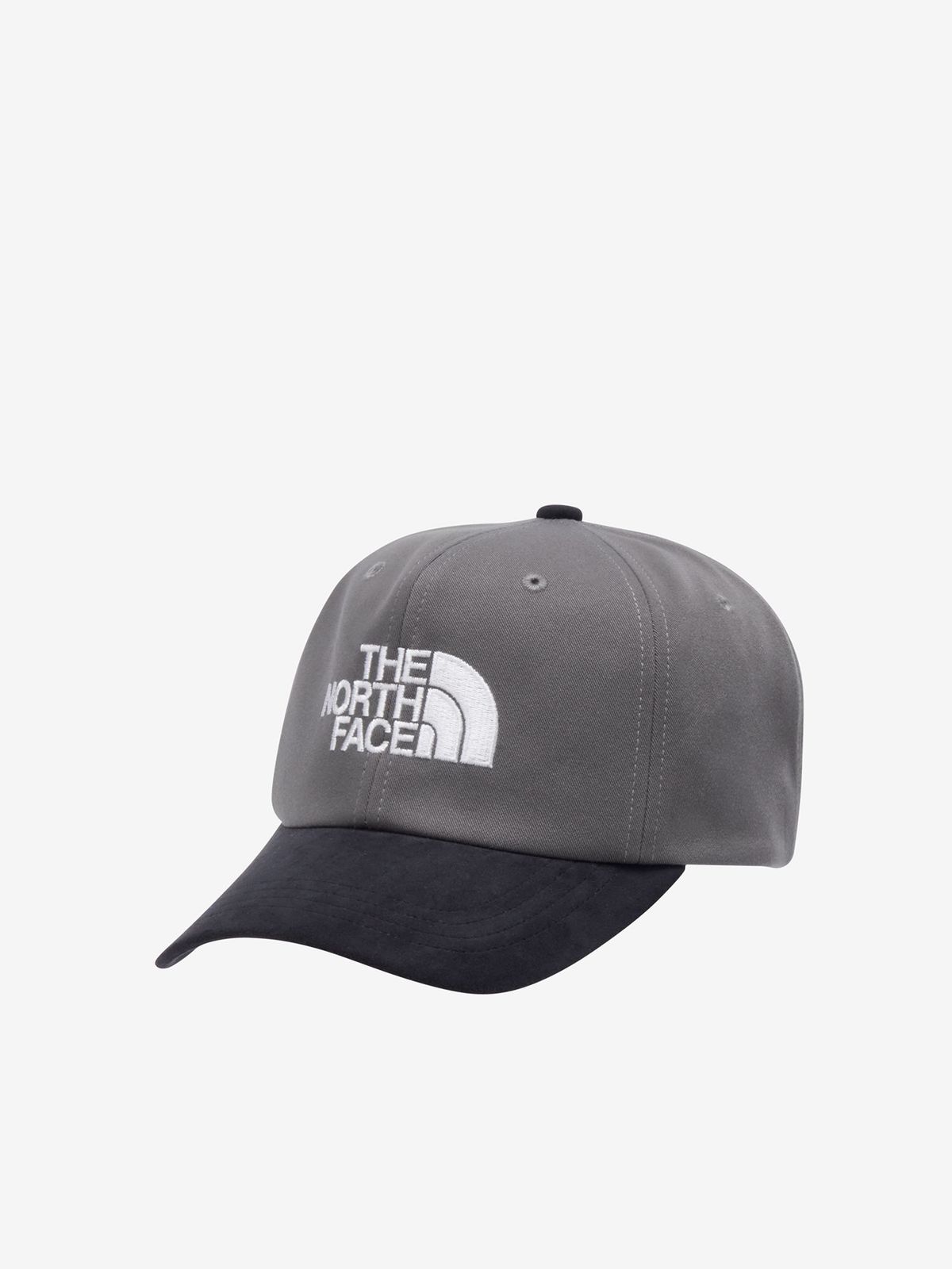 THE NORTH FACE Suede Panel Cap NN42539