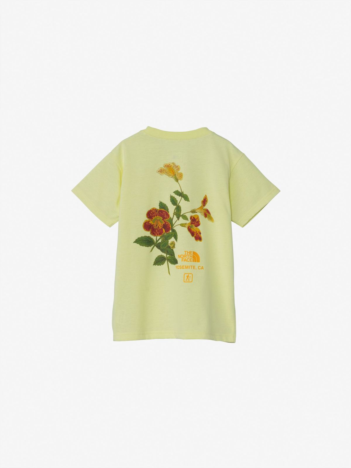THE NORTH FACE S/S Field Graphic Tee NTJ32612